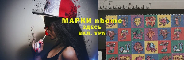 стаф Краснослободск