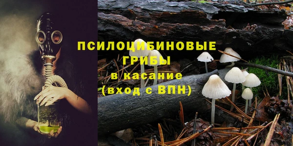 стаф Краснослободск