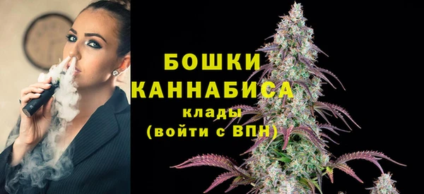 стаф Краснослободск